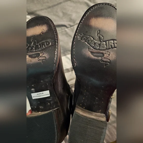 Freebird Notorious - Picture 5 of 5